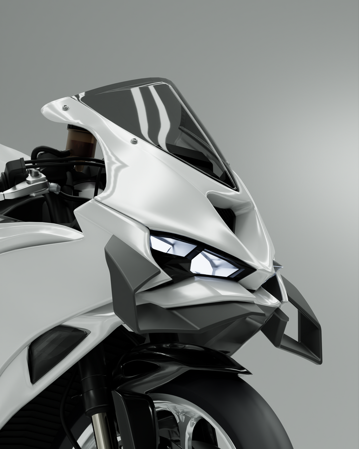 GP WING - KAWASAKI ZX6R
