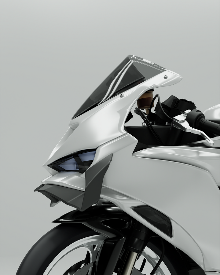 GP WING - KAWASAKI ZX6R