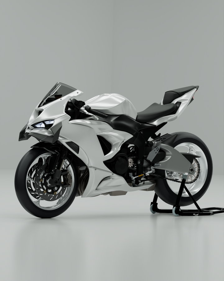 GP WING - KAWASAKI ZX6R
