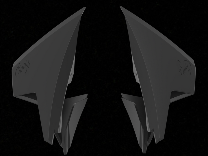 GP WINGS - BMW S1000RR (2010-19)