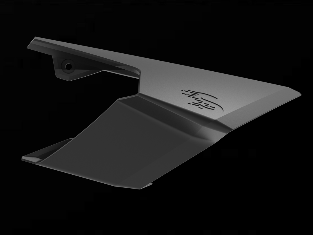 GP WINGS - BMW S1000RR (2010-19)