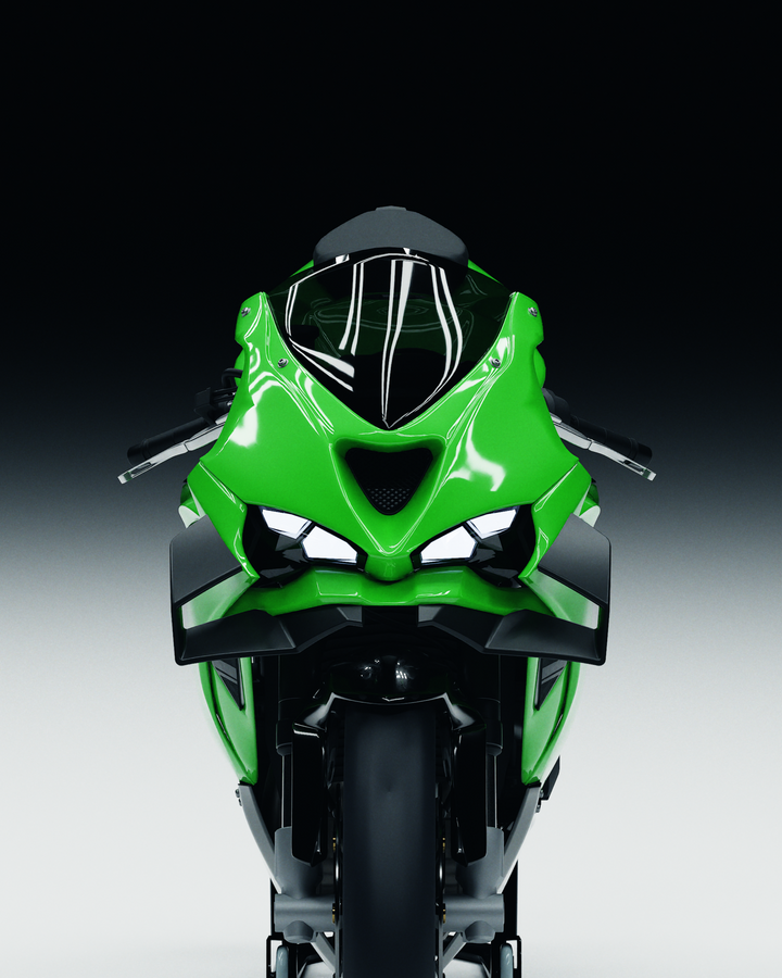 GP WING - KAWASAKI ZX6R