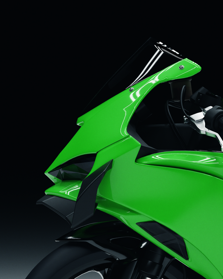 GP WING - KAWASAKI ZX6R